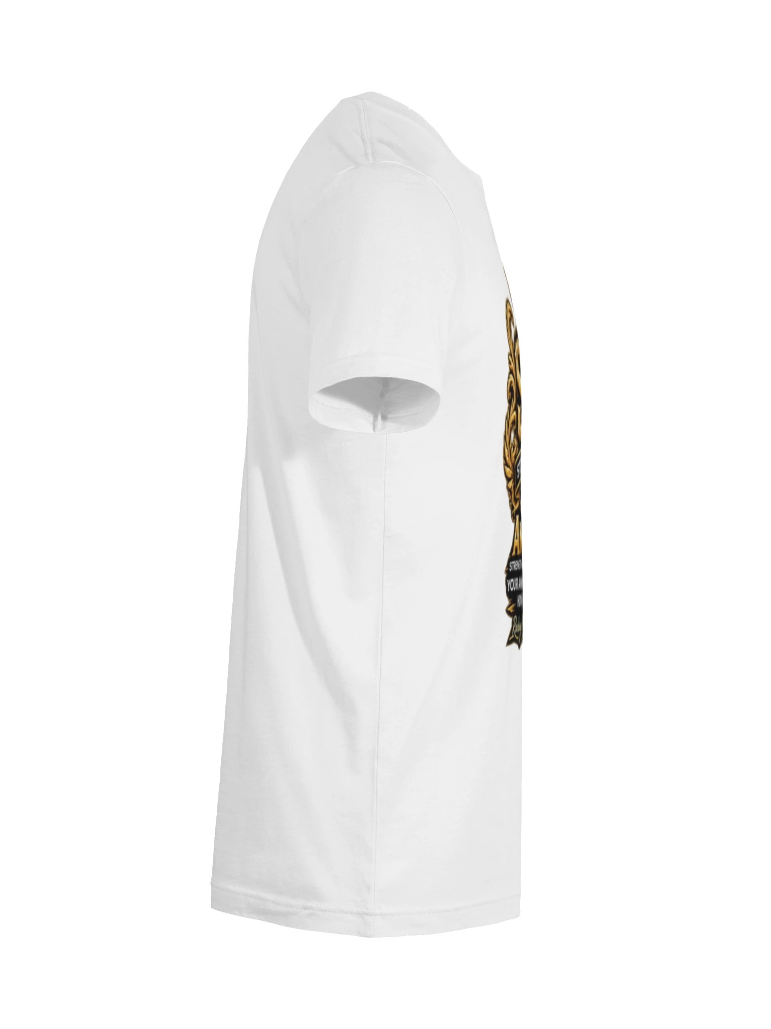 SBG Ambition T-Shirt product image (28)