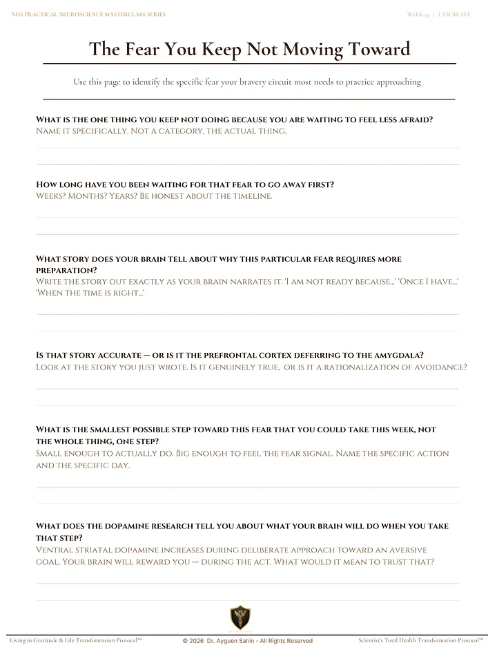 The Bravery Audit product image (2)