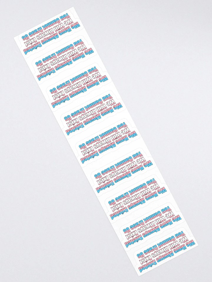 You Cannot Erase Us Stickers product image (2)