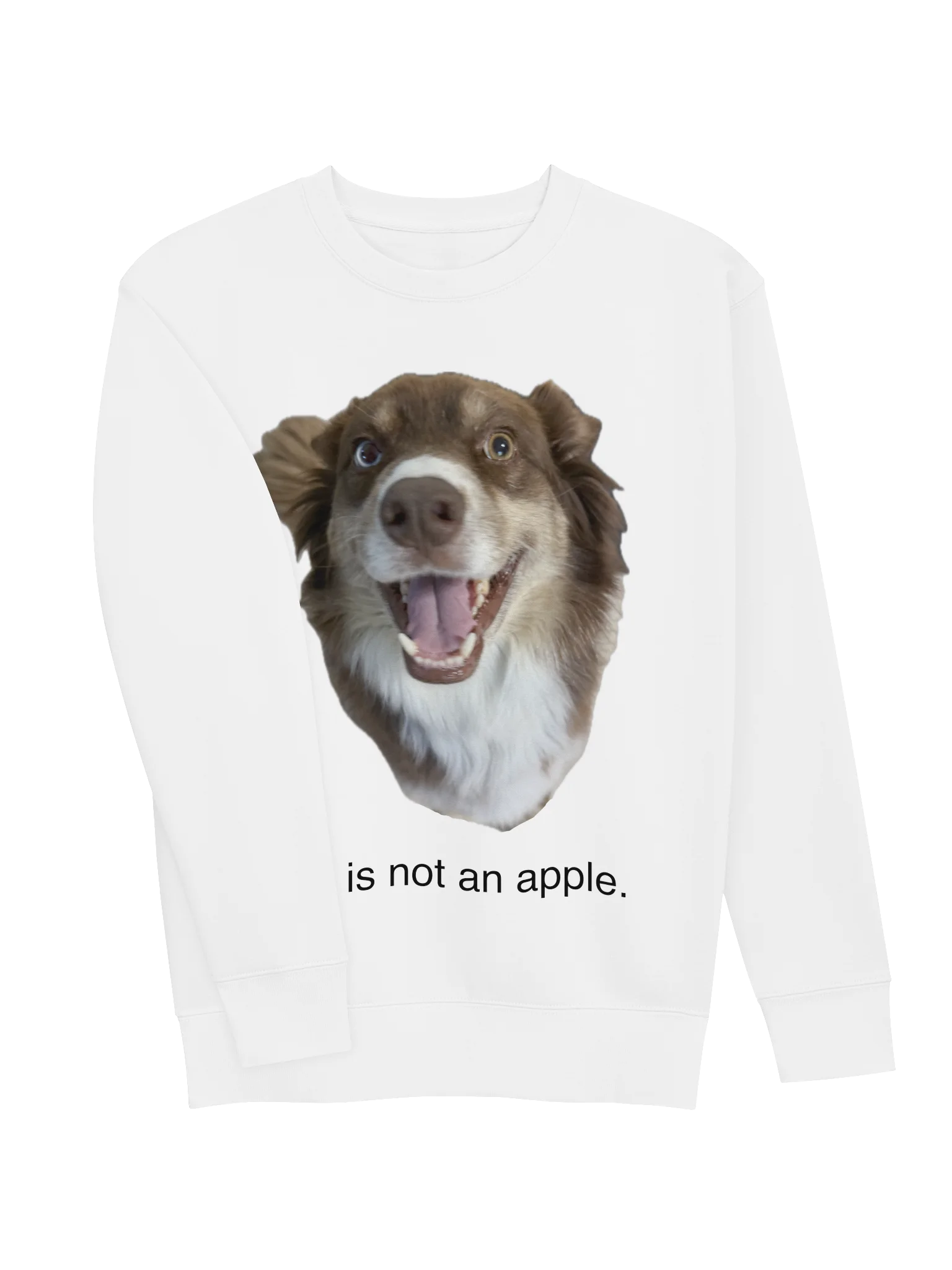 THIS IS STILL A DOG. product image (3)