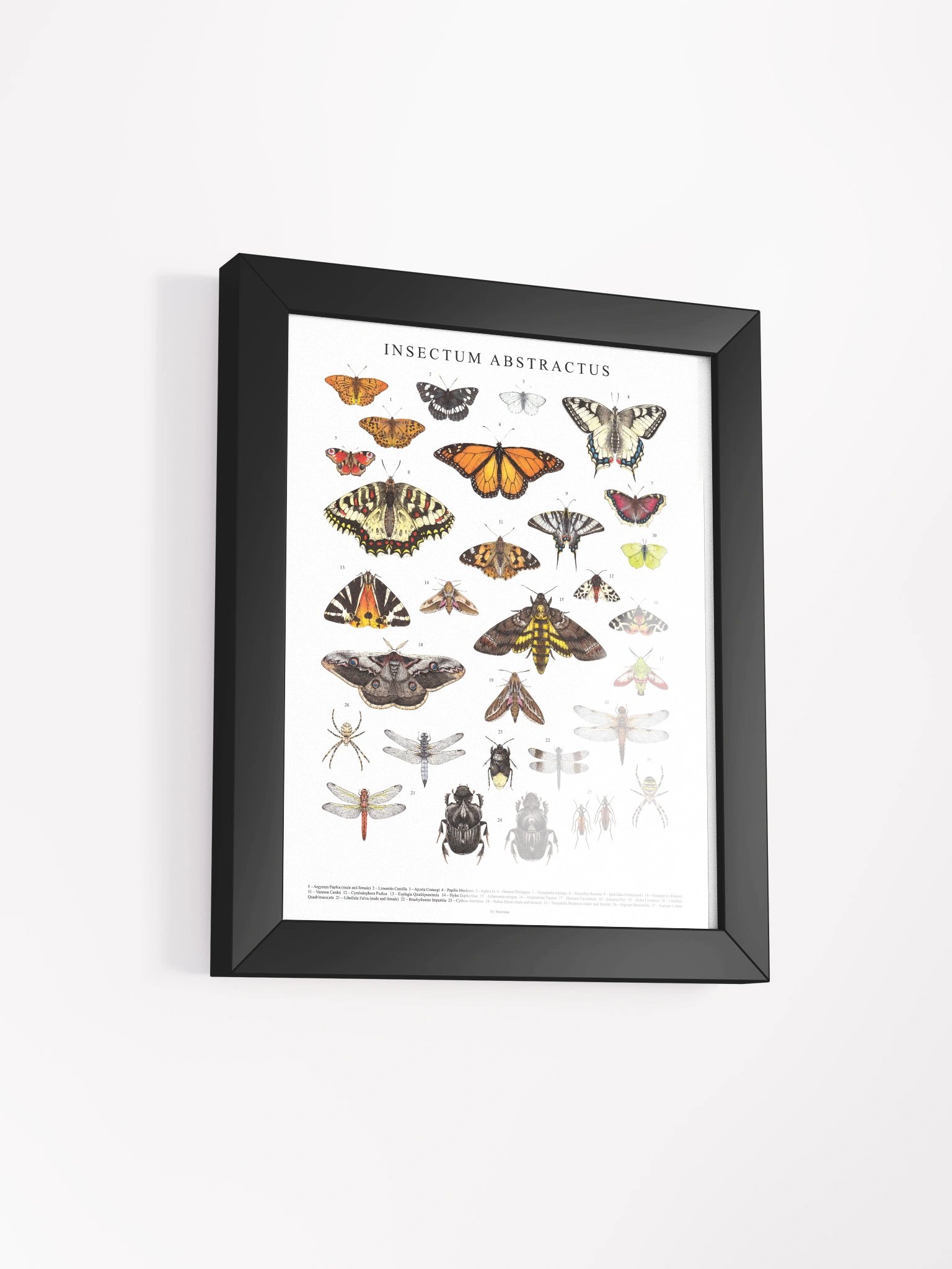 Insectum Abstractus, Whole • Framed Print product image (3)