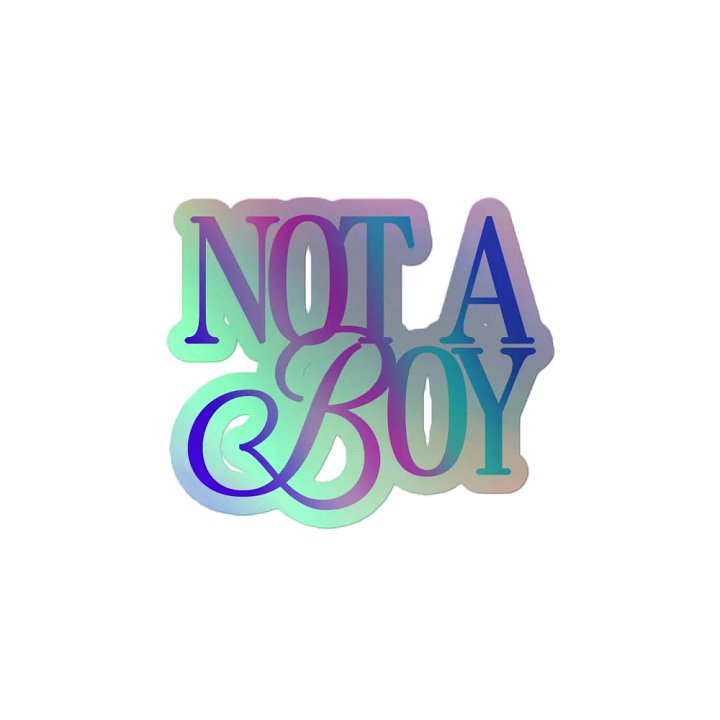 Not A Boy - Holo Sticker product image (2)