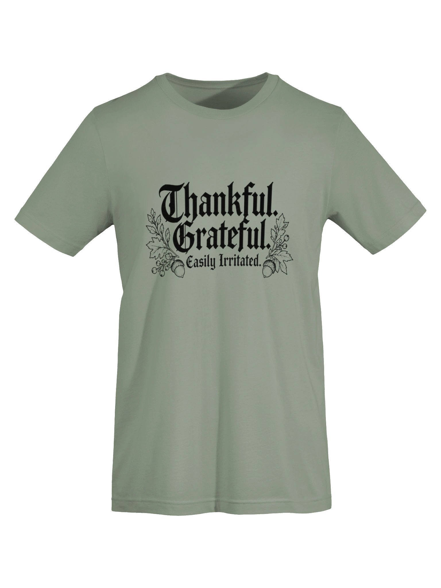 Thankful. Grateful. Easily Irritated. | Funny Thanksgiving T-Shirt product image (6)