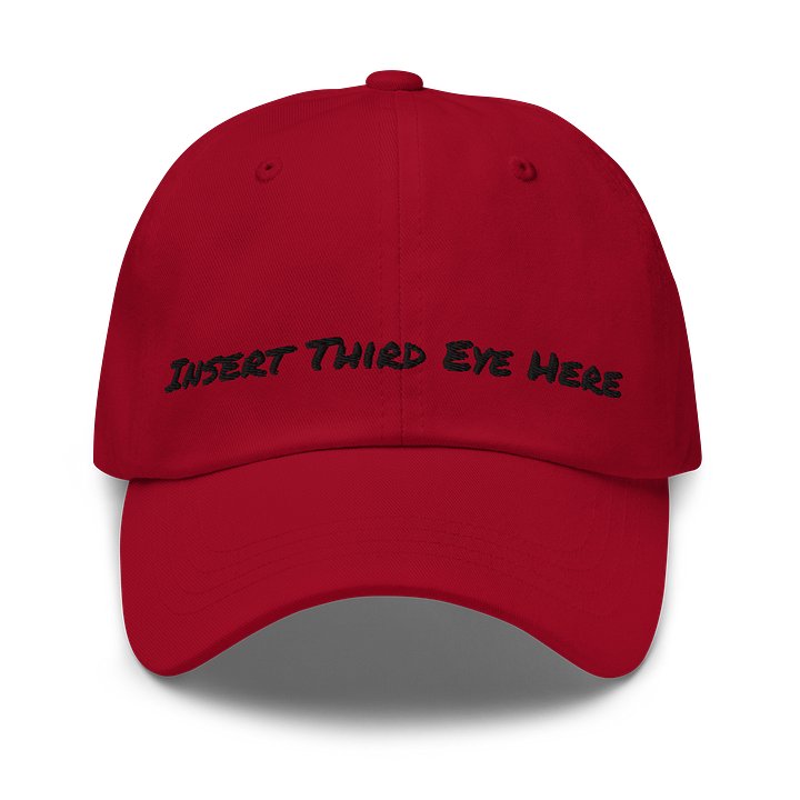 Insert Third Eye Here – Conscious Mind Hat product image (1)