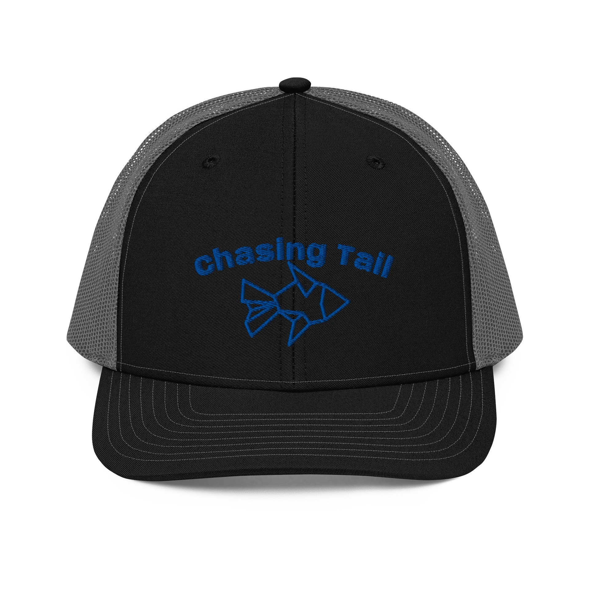 Chasing tail product image (1)