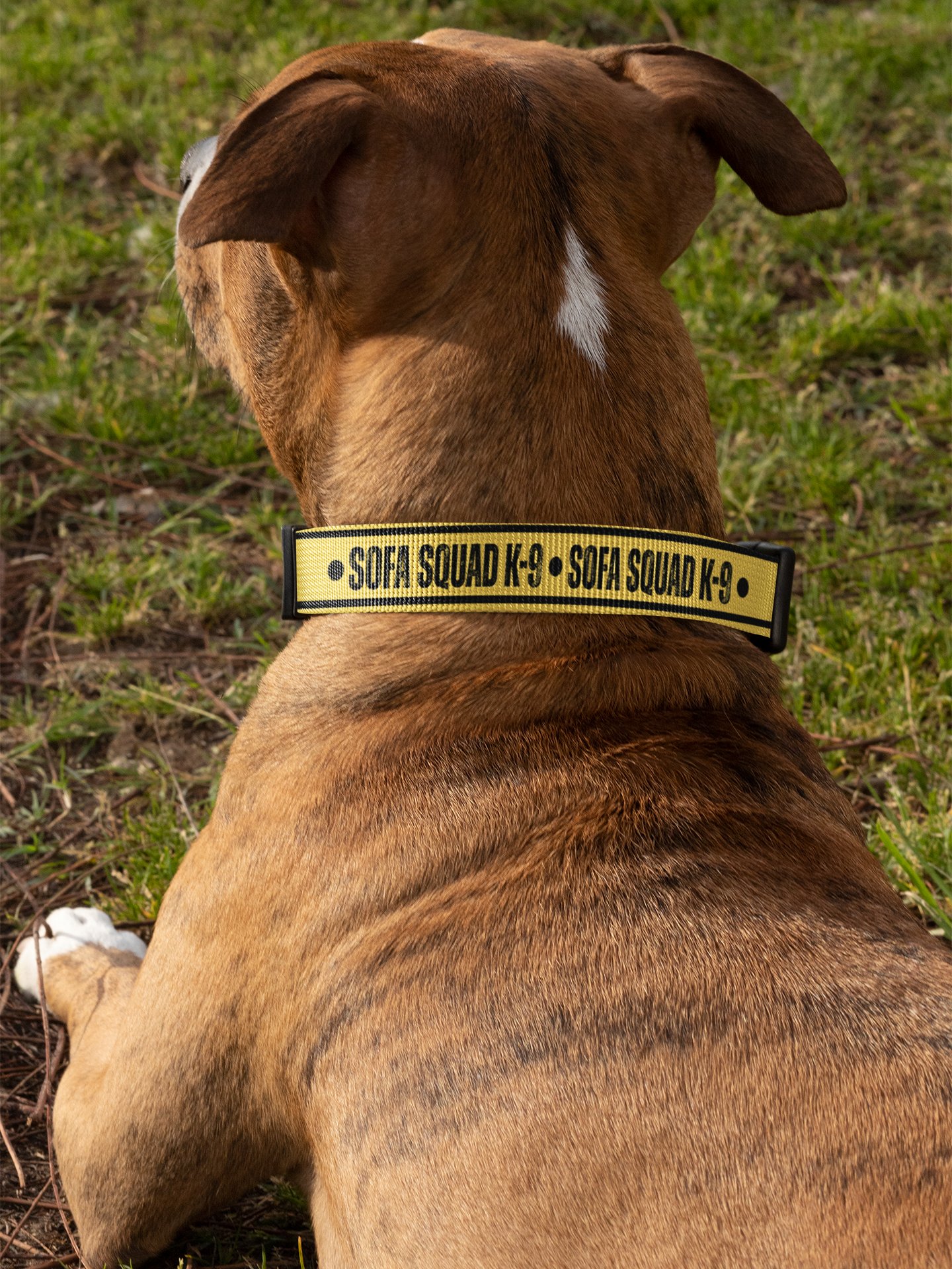 Sofa Squad K-9 Dog Collar product image (2)