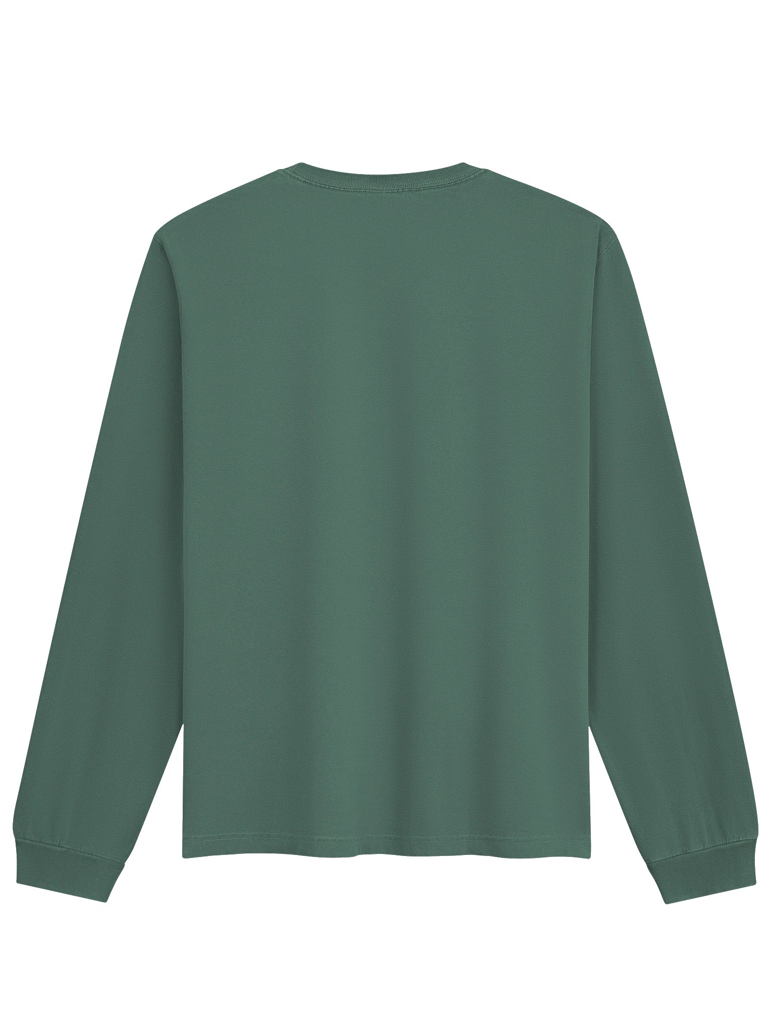 PIRH The Strange Unisex Heavyweight Long Sleeve Tee product image (2)