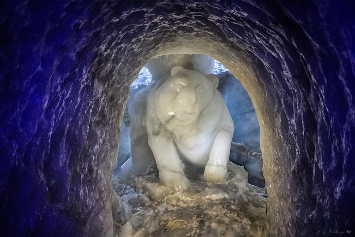 Fine Art - Ice Cave Bear ❄️🐻 product image (1)
