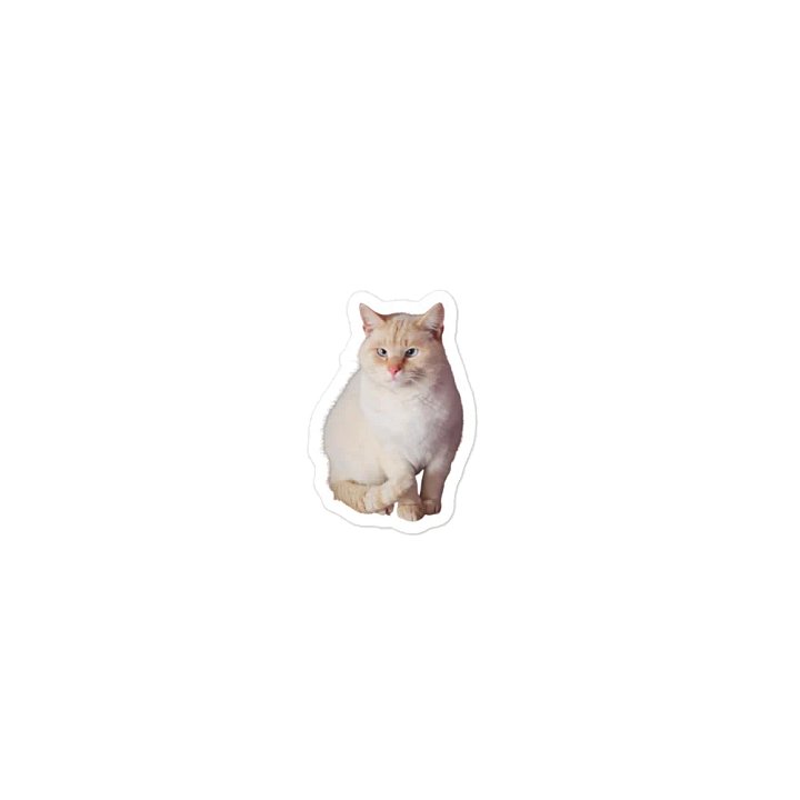 Paws The Cat Magnet product image (1)
