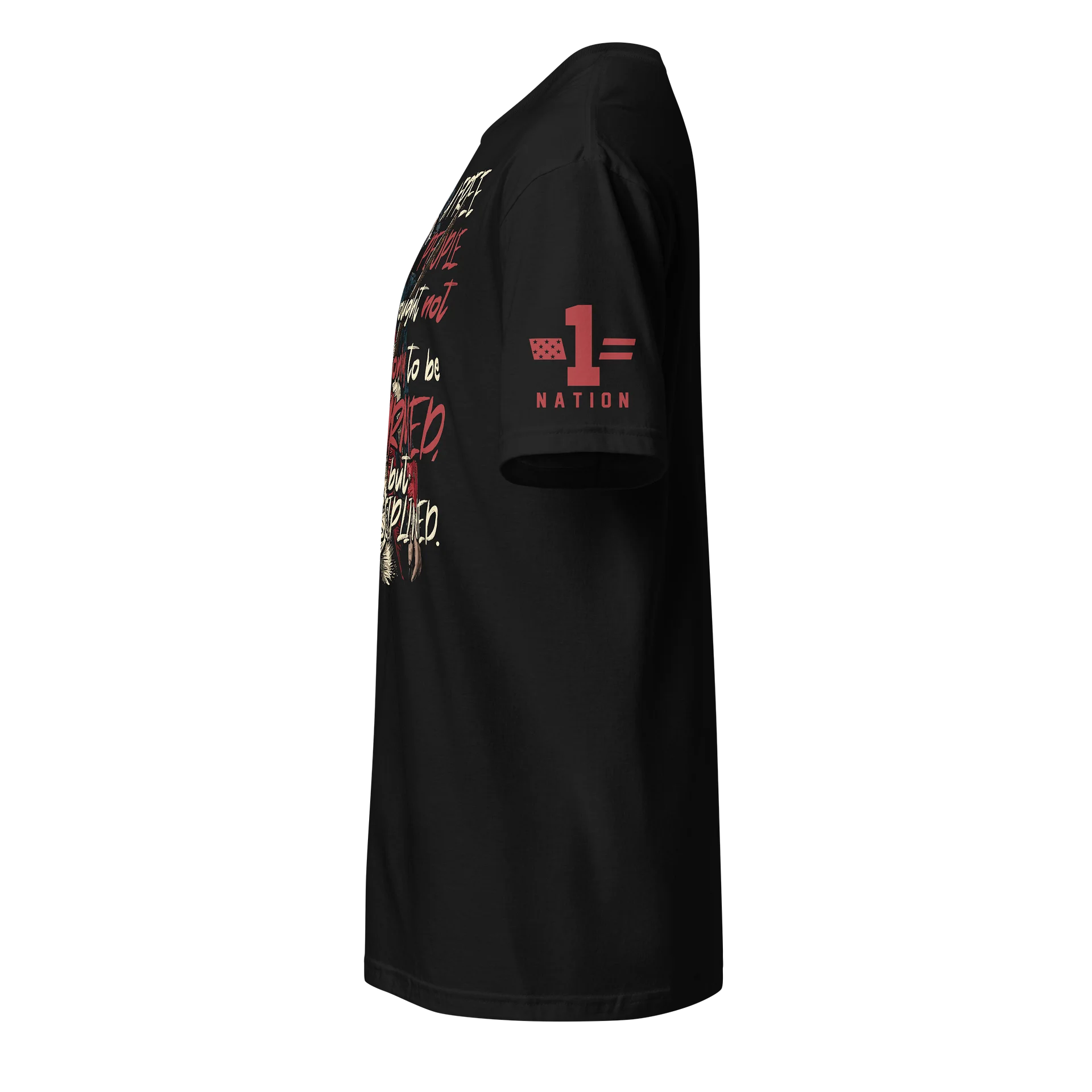 Armed and Disciplined product image (2)