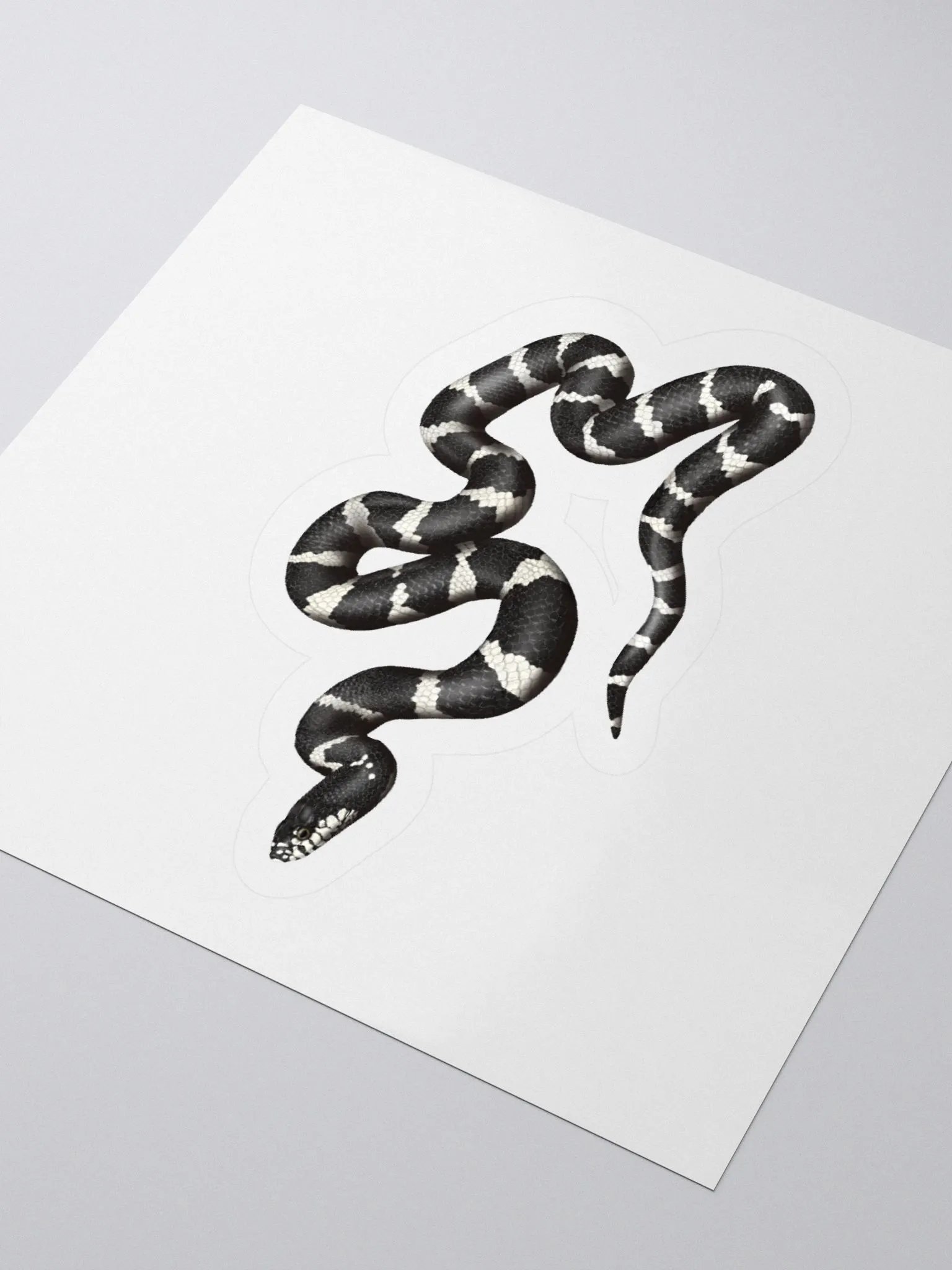 Die-Cut Sticker – California Kingsnake product image (3)