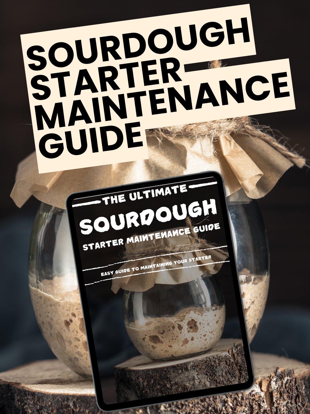 The Complete Sourdough Starter Maintenance Guide - BreadXBaker product image (1)