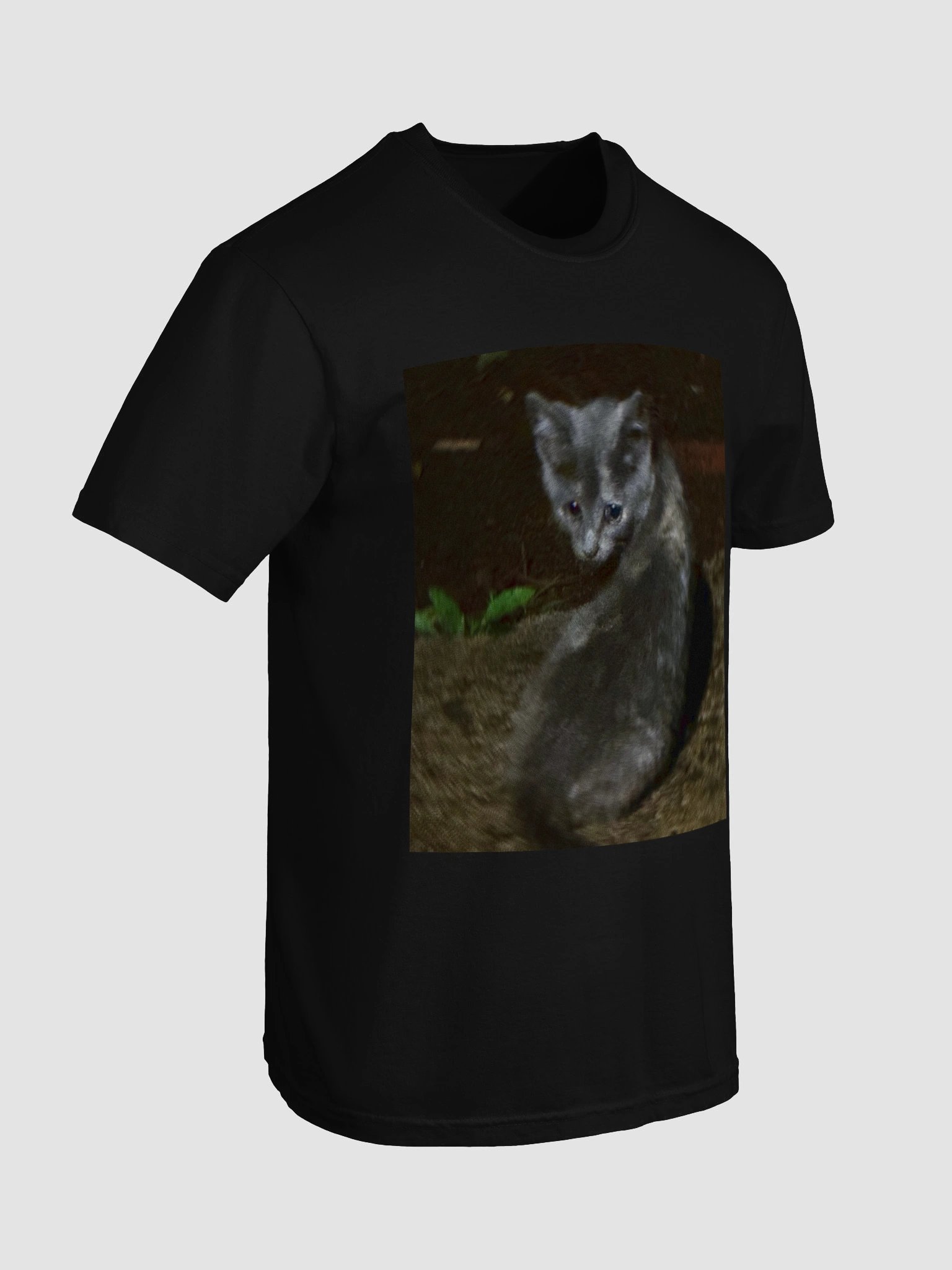 Whiskered Tee product image (19)