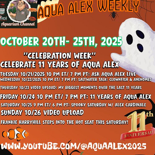 Celebrating 11 Years of Aqua Alex: A Week of Milestones and Festivities

Monday, October 20th, 2025 | Lake Worth, Florida

Aq...
