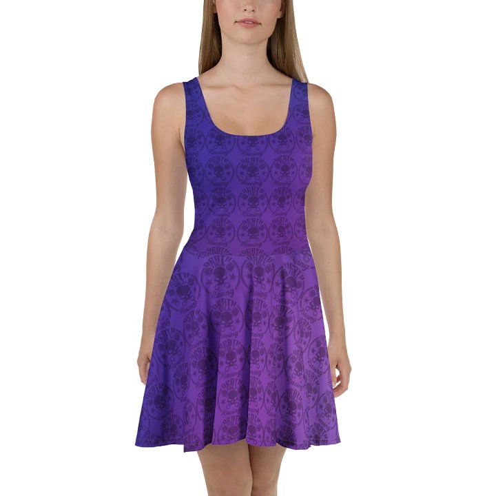 DTR Purple and Blue Skater Dress product image (2)