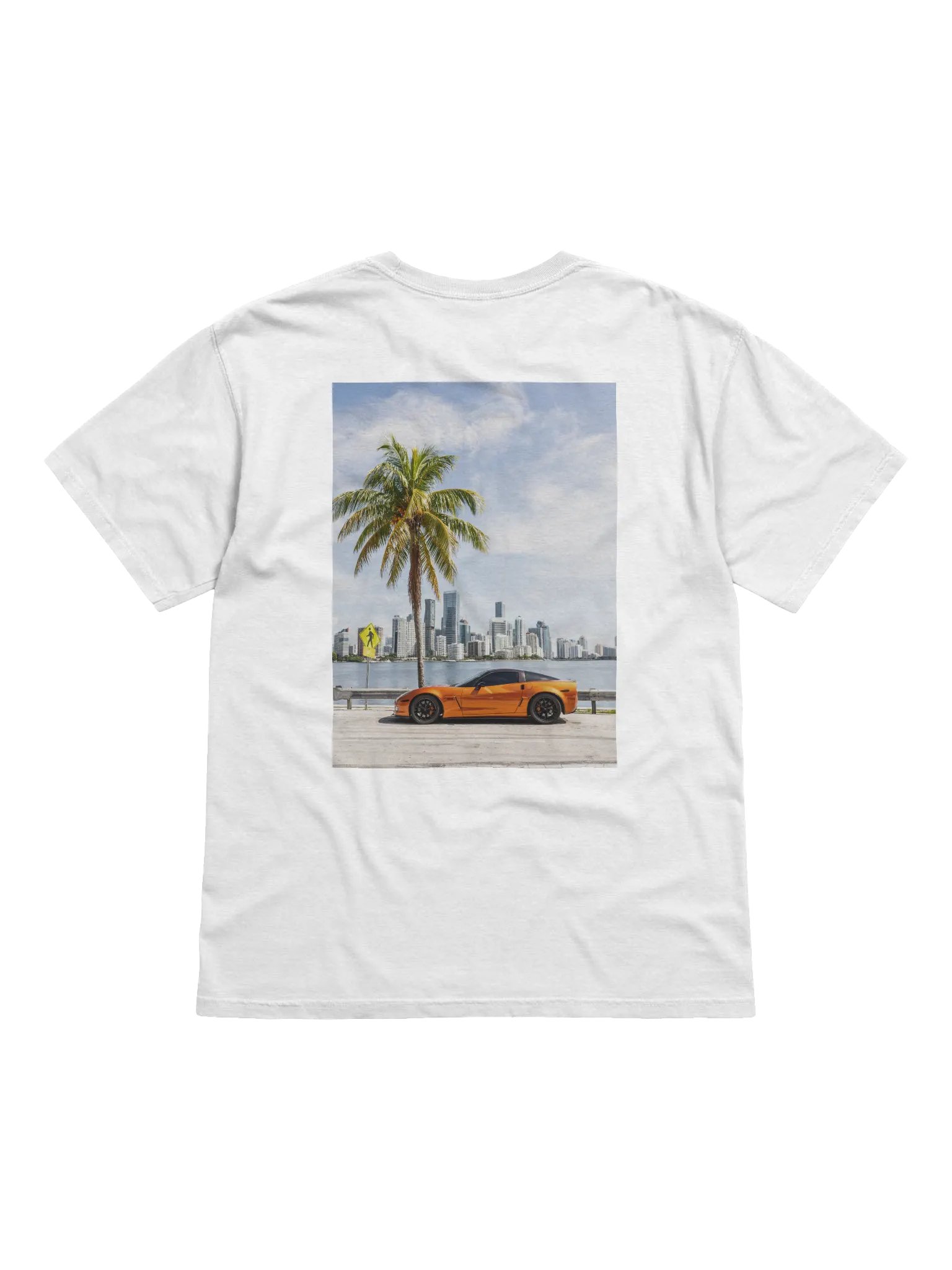 C6 - MIAMI PRINT V.2 product image (1)