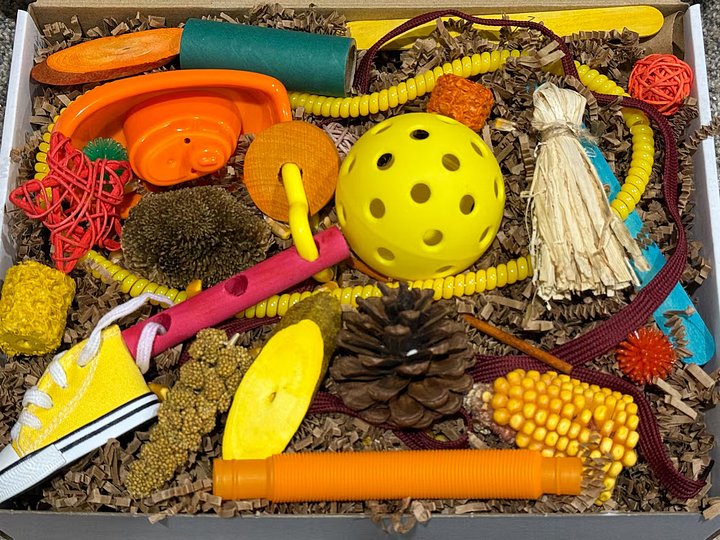 Feathery Fall Foraging Box product image (2)