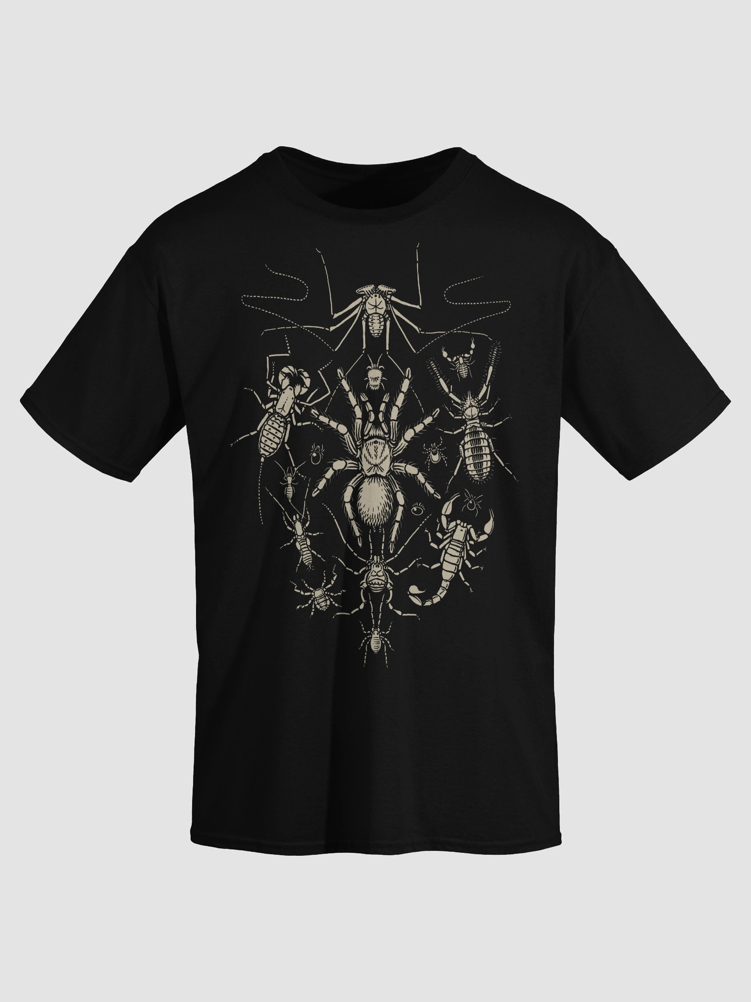 Arachnida Shirt product image (18)