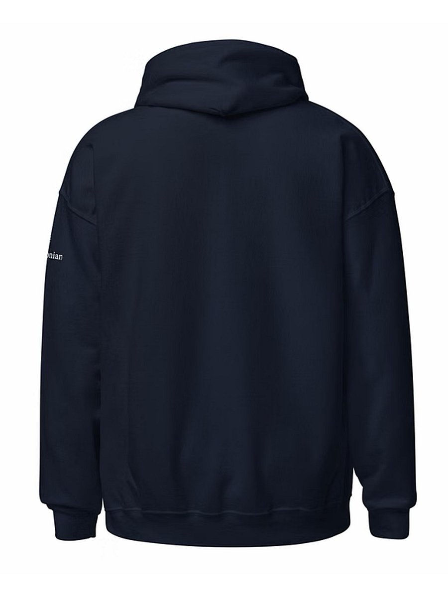 National Air and Space Museum Hoodie (Unisex) Image 2