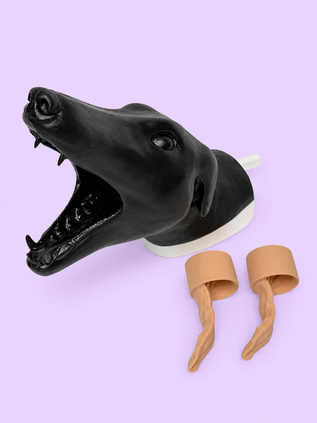 Canine Intubation Simulation Model product image (3)