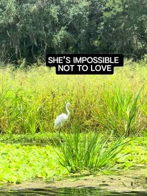 Florida’s best therapy has no walls. Keep Florida Wild. 🌿 #floridalife #floridasprings #springtok #onlyparks #thewetterthebetter 