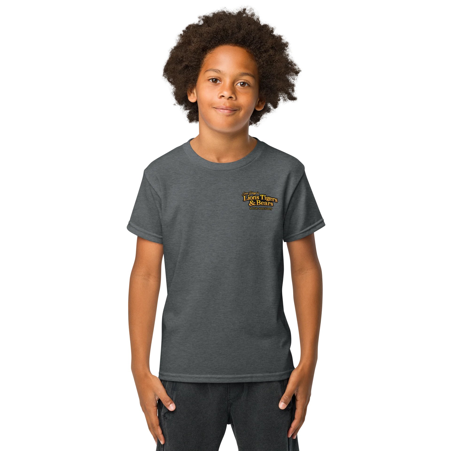 Nola Art Youth Tee product image (2)