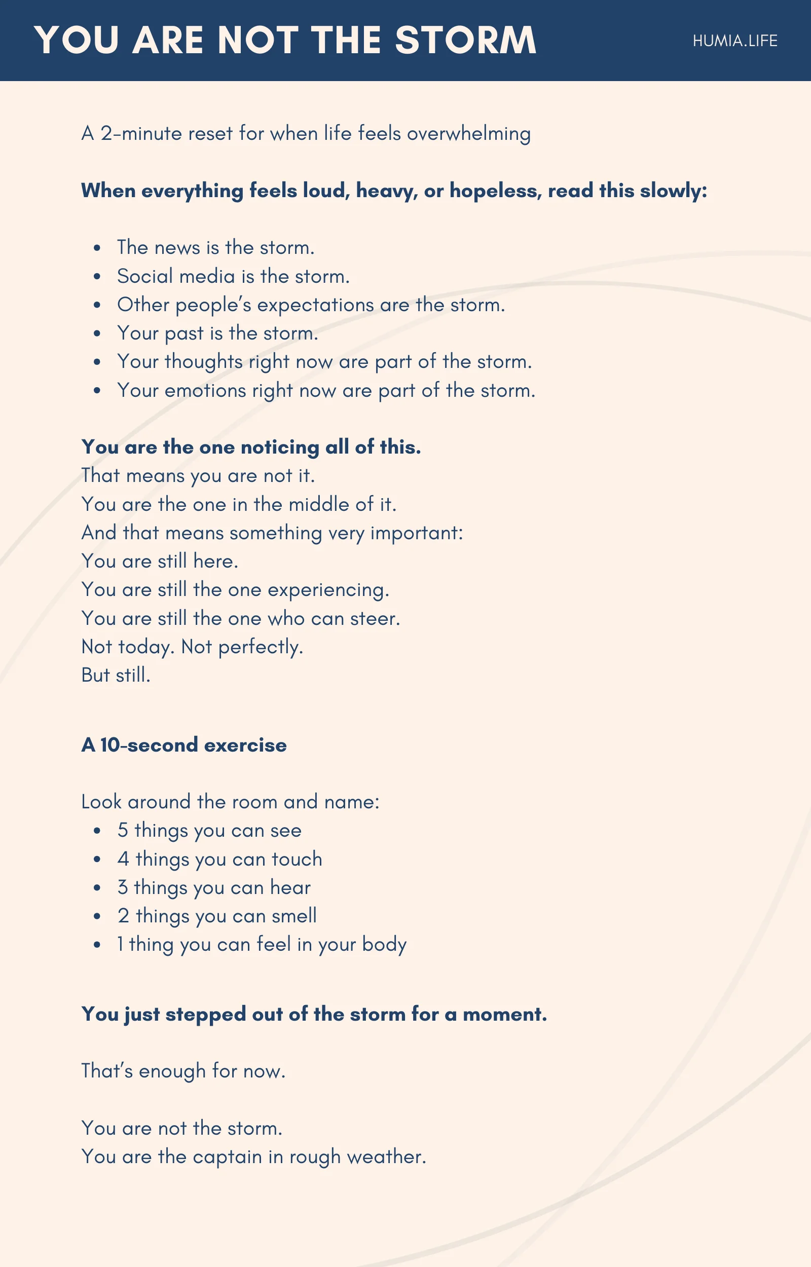 THE LENS RESET product image (2)