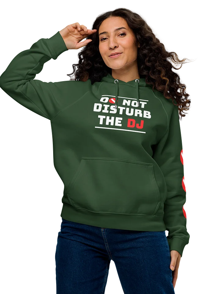 Do Not Disturb The DJ - Hoodie product image (1)
