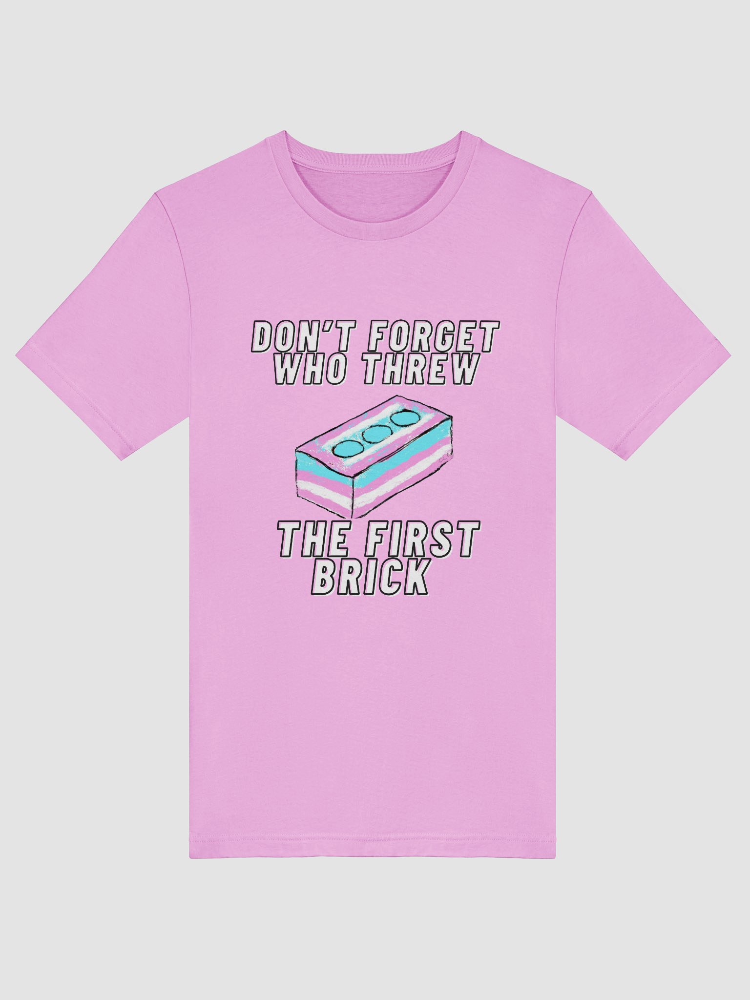 Don't Forget Who Threw The First Brick Tee product image (27)