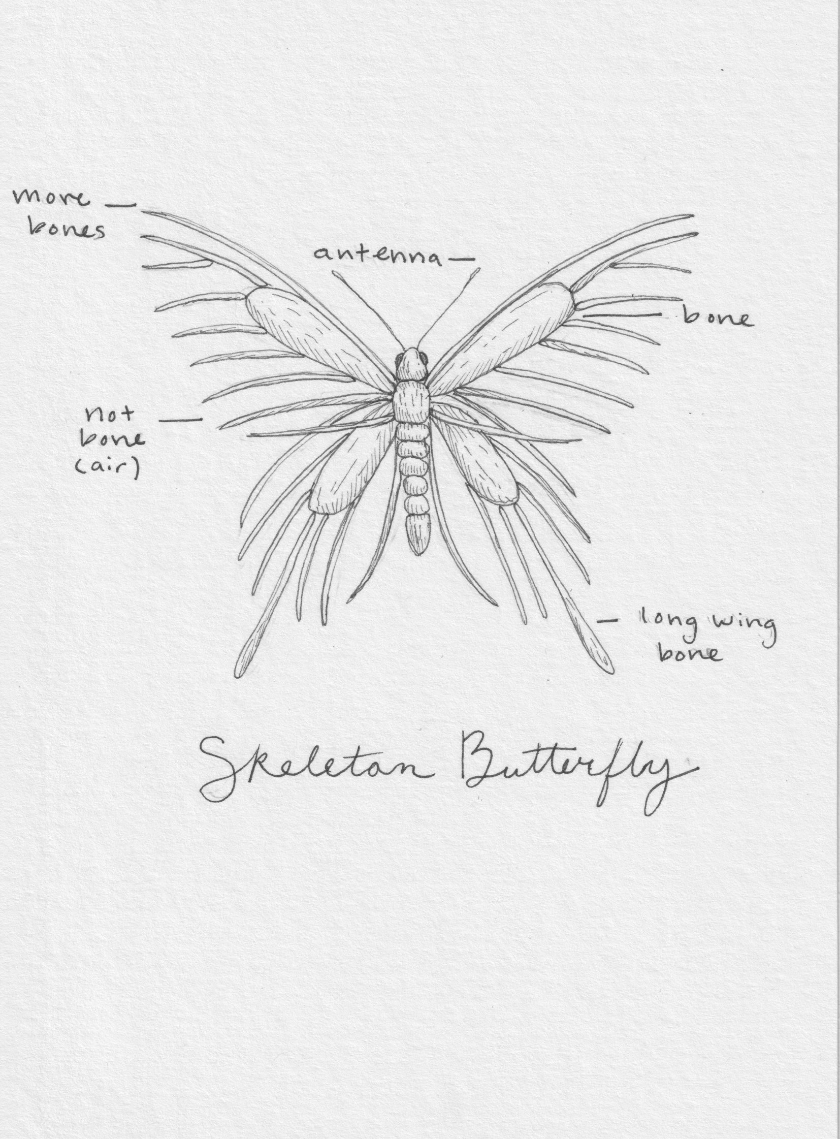 Original Creature Sketches product image (1)
