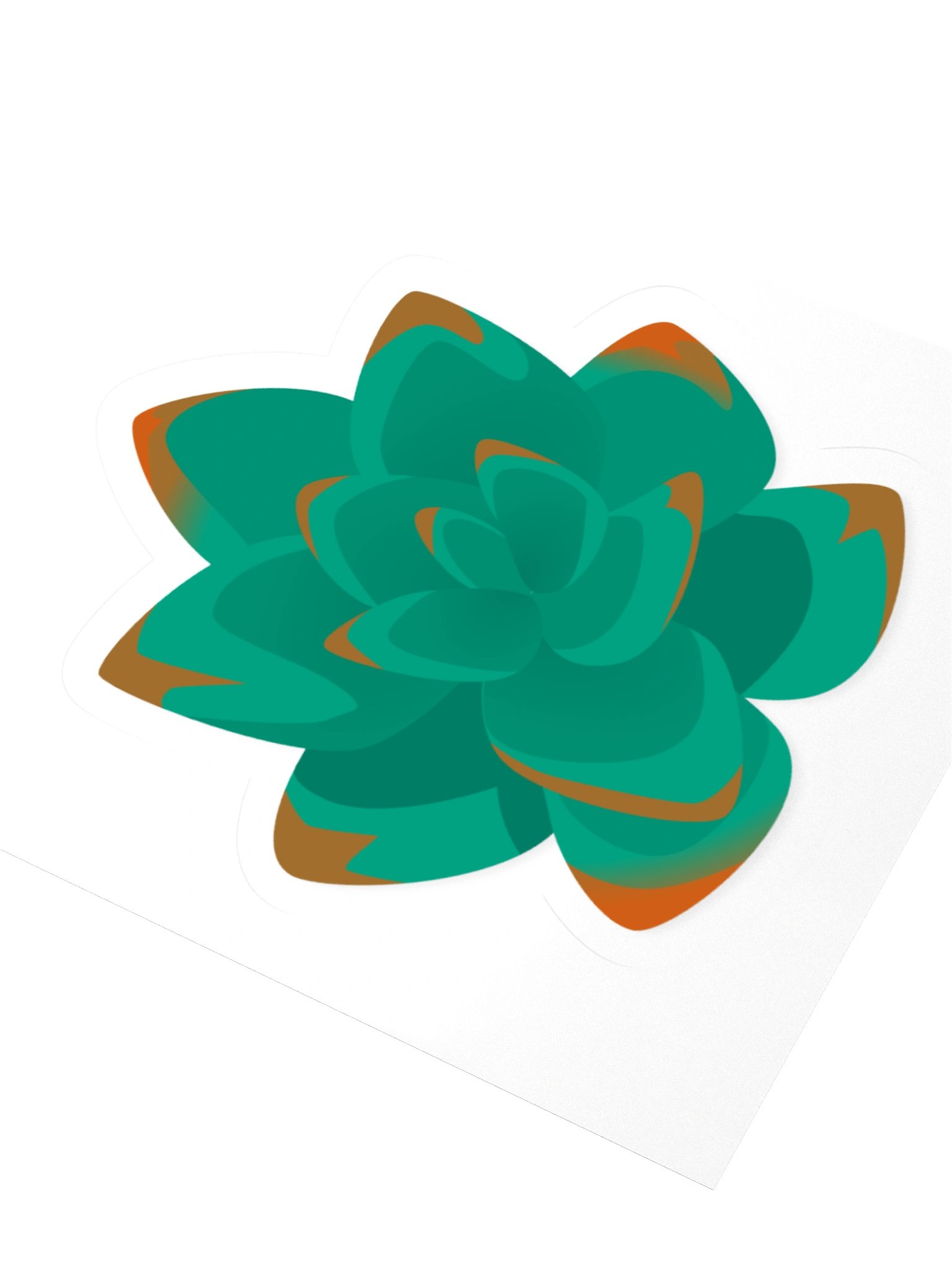Echeveria product image (3)