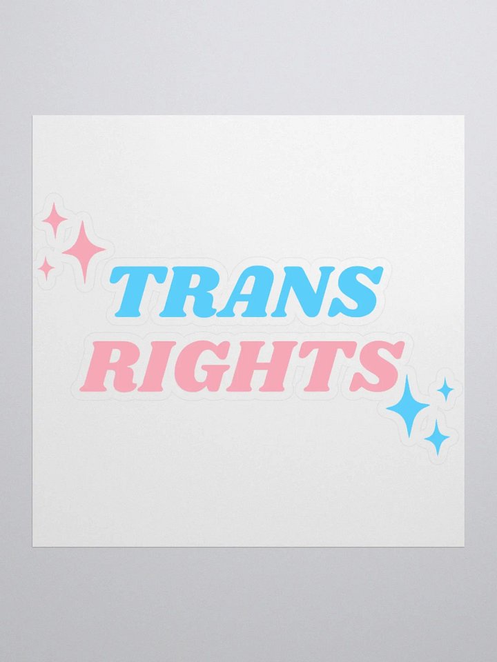 Trans Rights Sticker product image (1)