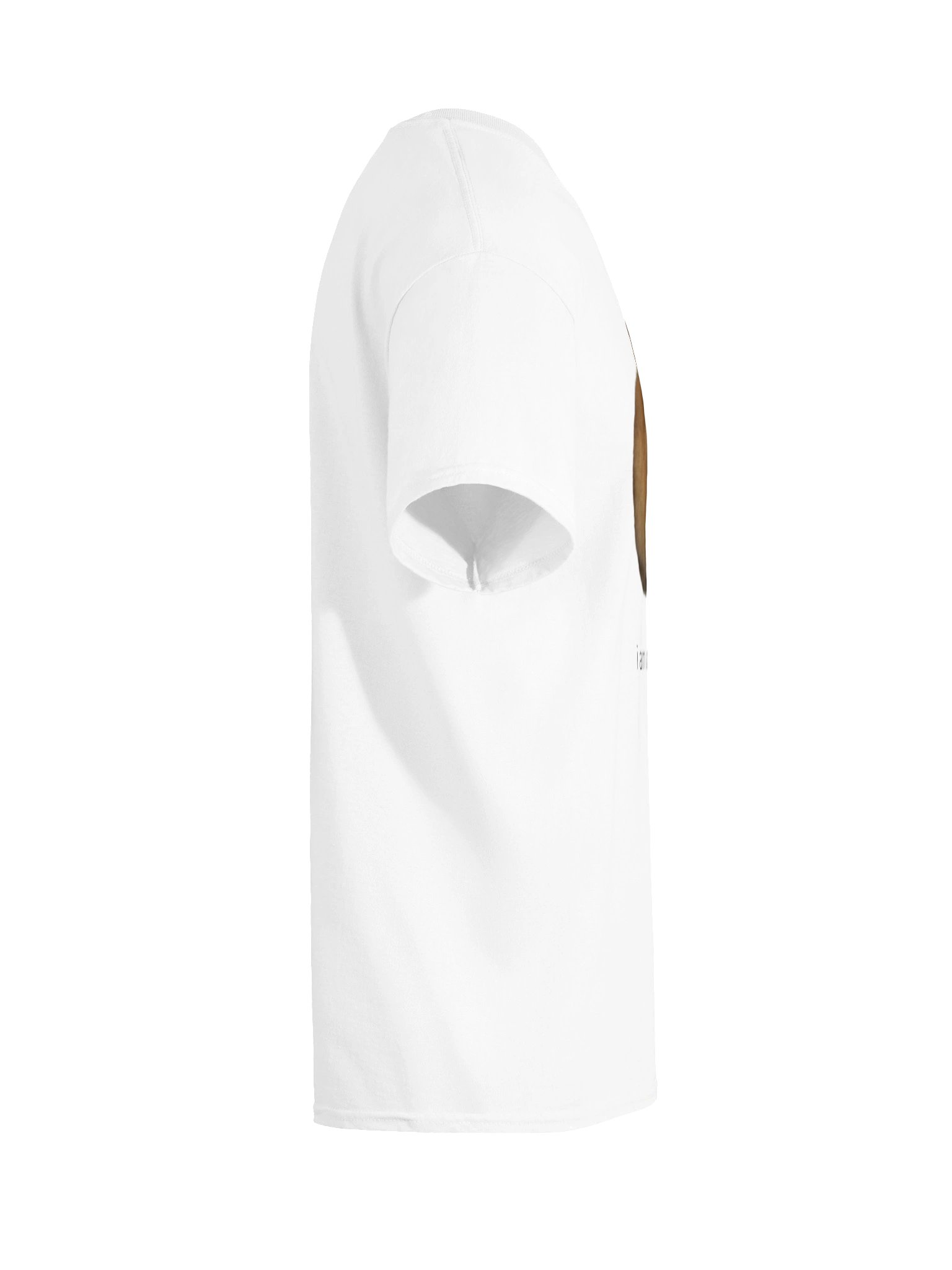 i am at my limit product image (6)