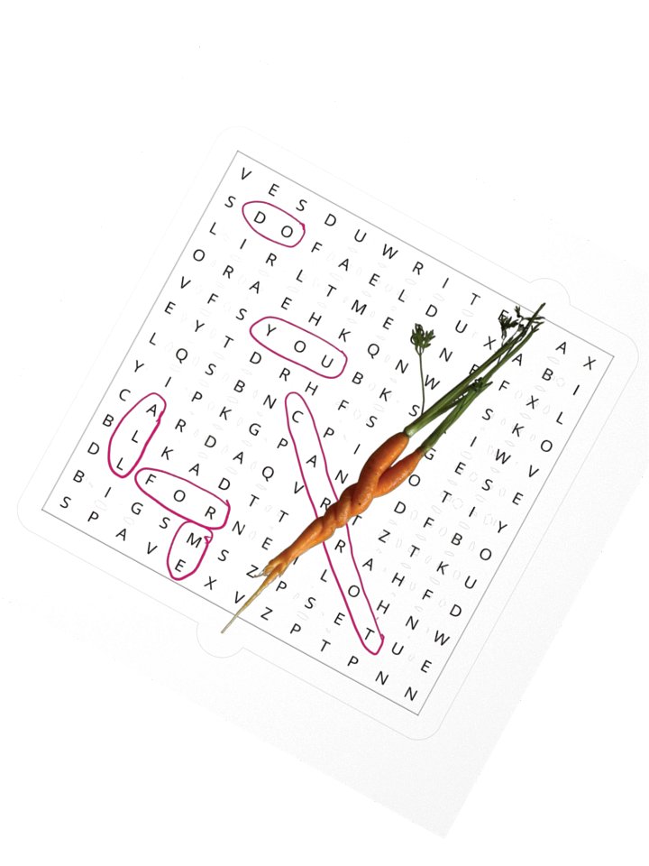 Pink-Circled Word Search Carrot Stickers product image (2)