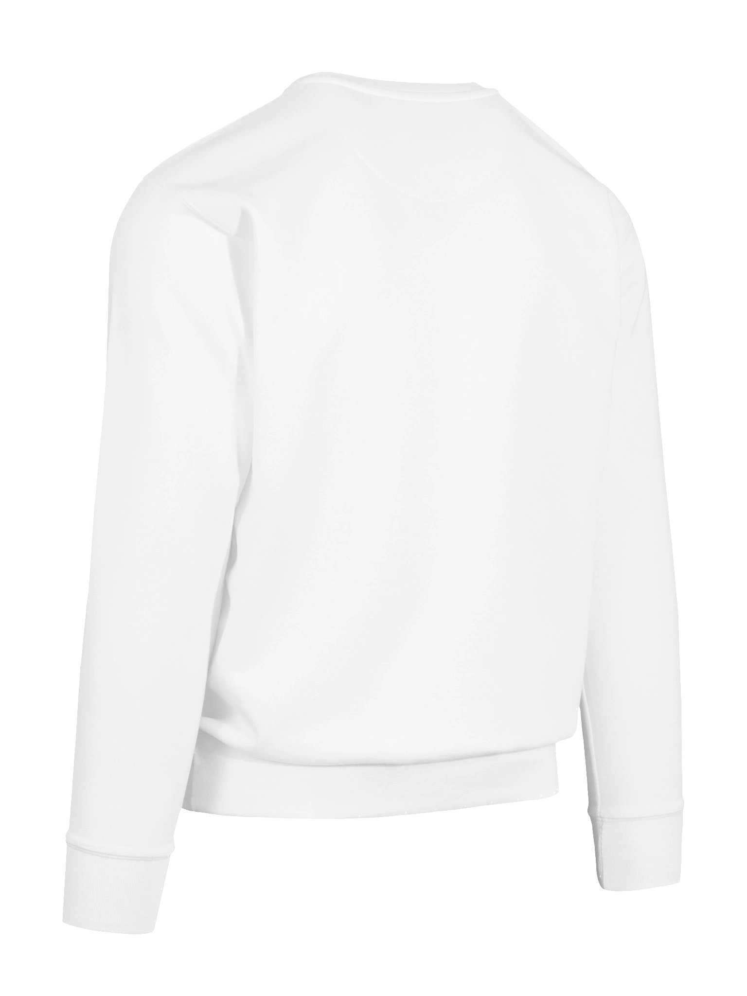 Godsent Mii Sweatshirt product image (12)