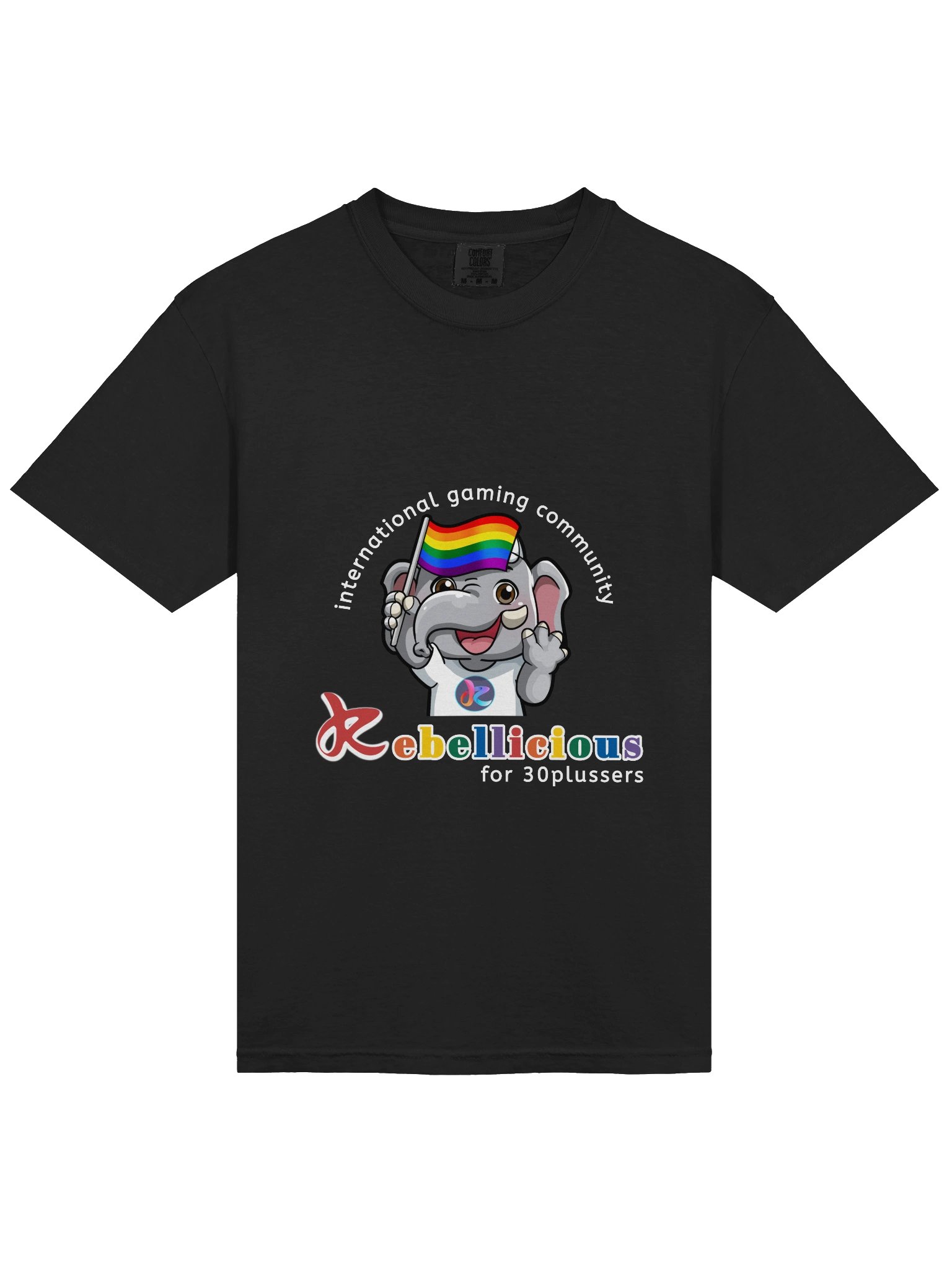 Comfort Colors Pride T-shirt product image (35)