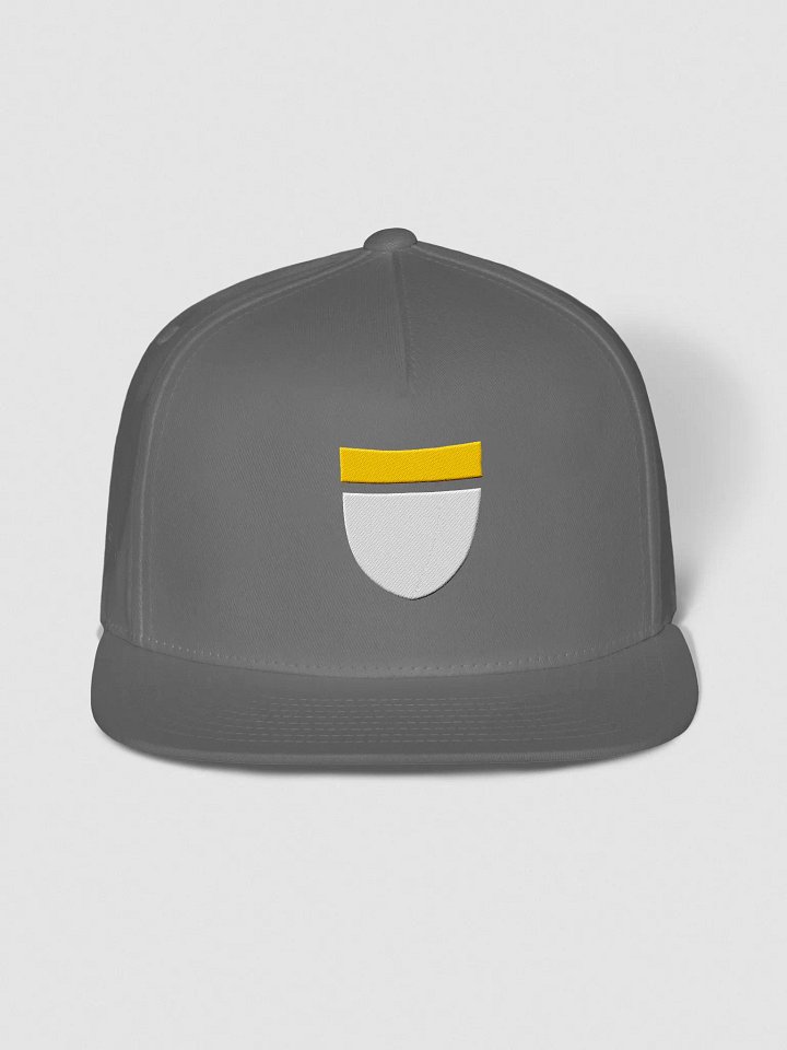 Embroidered Flat Snapback - Disc Golf Basket product image (1)