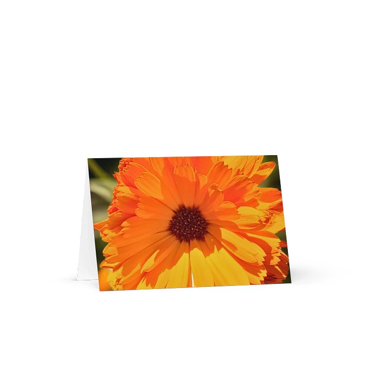 Orange Calendula Blossom Greeting Card product image (1)
