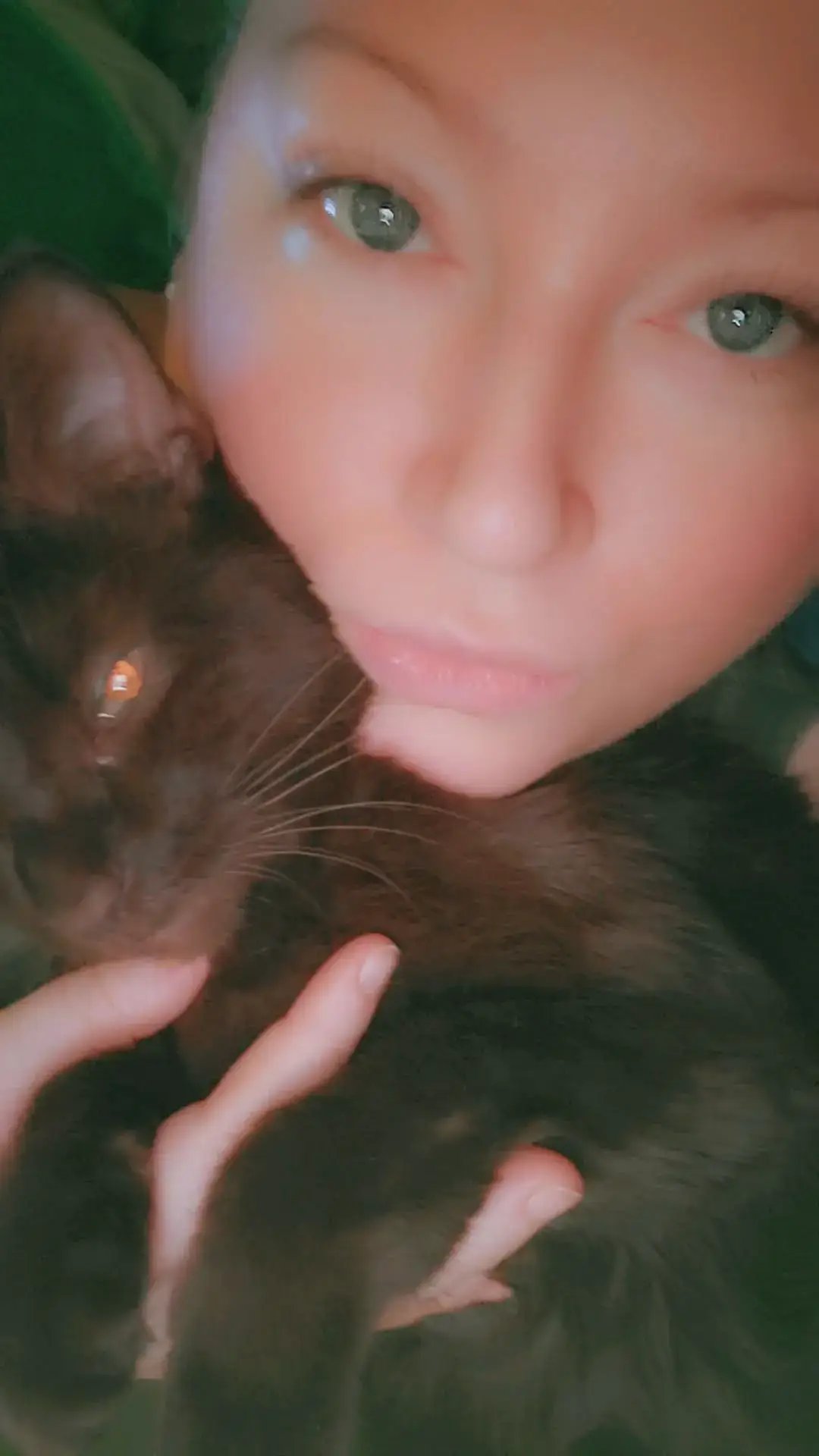 she's my whole world ♡ #catmom #gamergirl #twitch #taythebrat #animallover  I stream on twitch: TayTheBrat