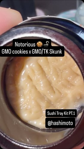 Notorious 🍪🦨(GMO cookies x GMO/TK Skunk) 7.3/10 by @hashimotous #explorepage✨ #trendingnow #bhoboyz #upncoming #lipbalm