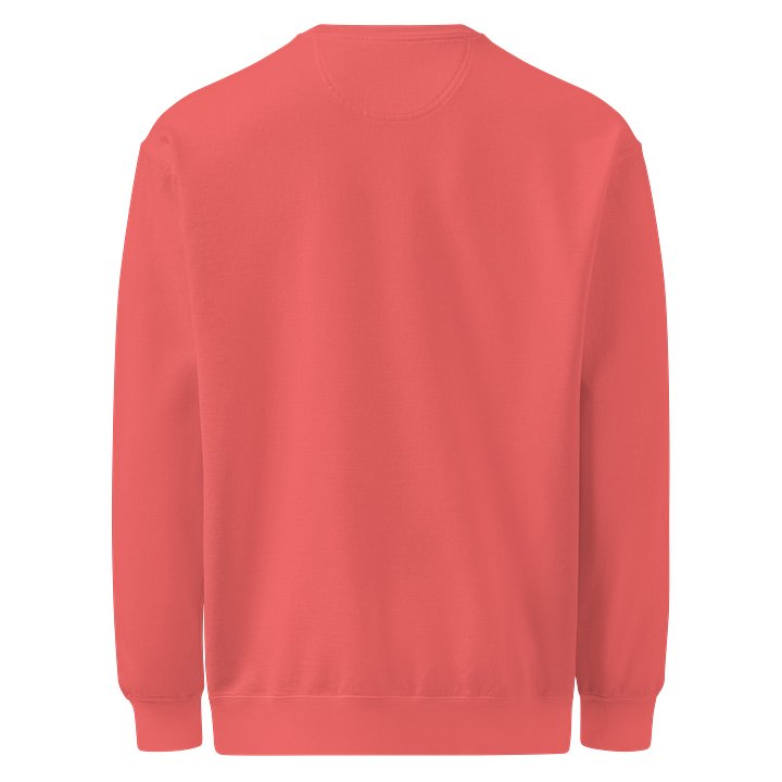 Allergy & Immunology Comfort Colors Crewneck product image (30)