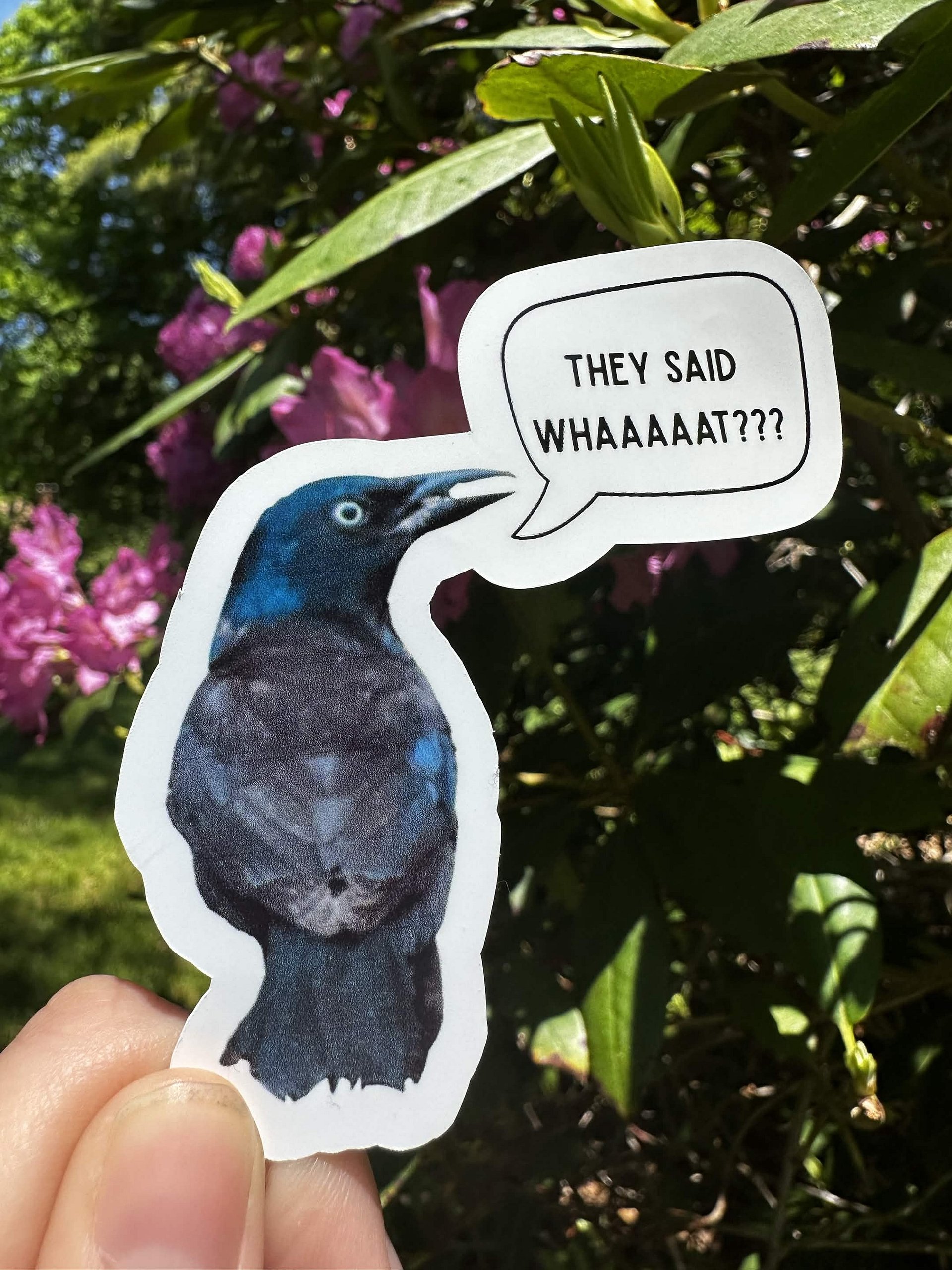 They said whaaaaaaat? Sticker product image (1)