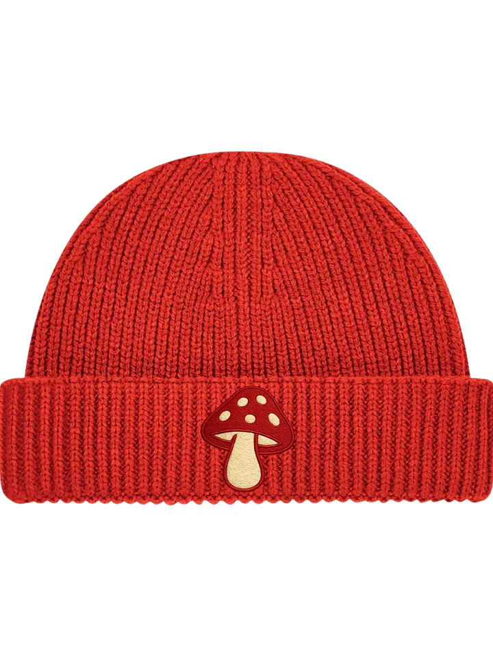 Tripped Beanie product image (1)