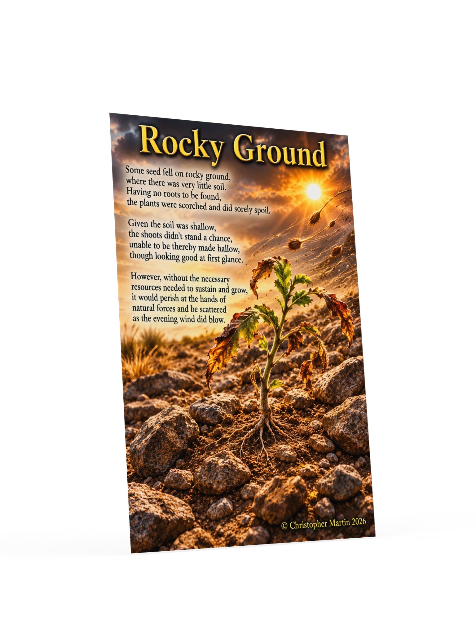 Rocky ground product image (4)