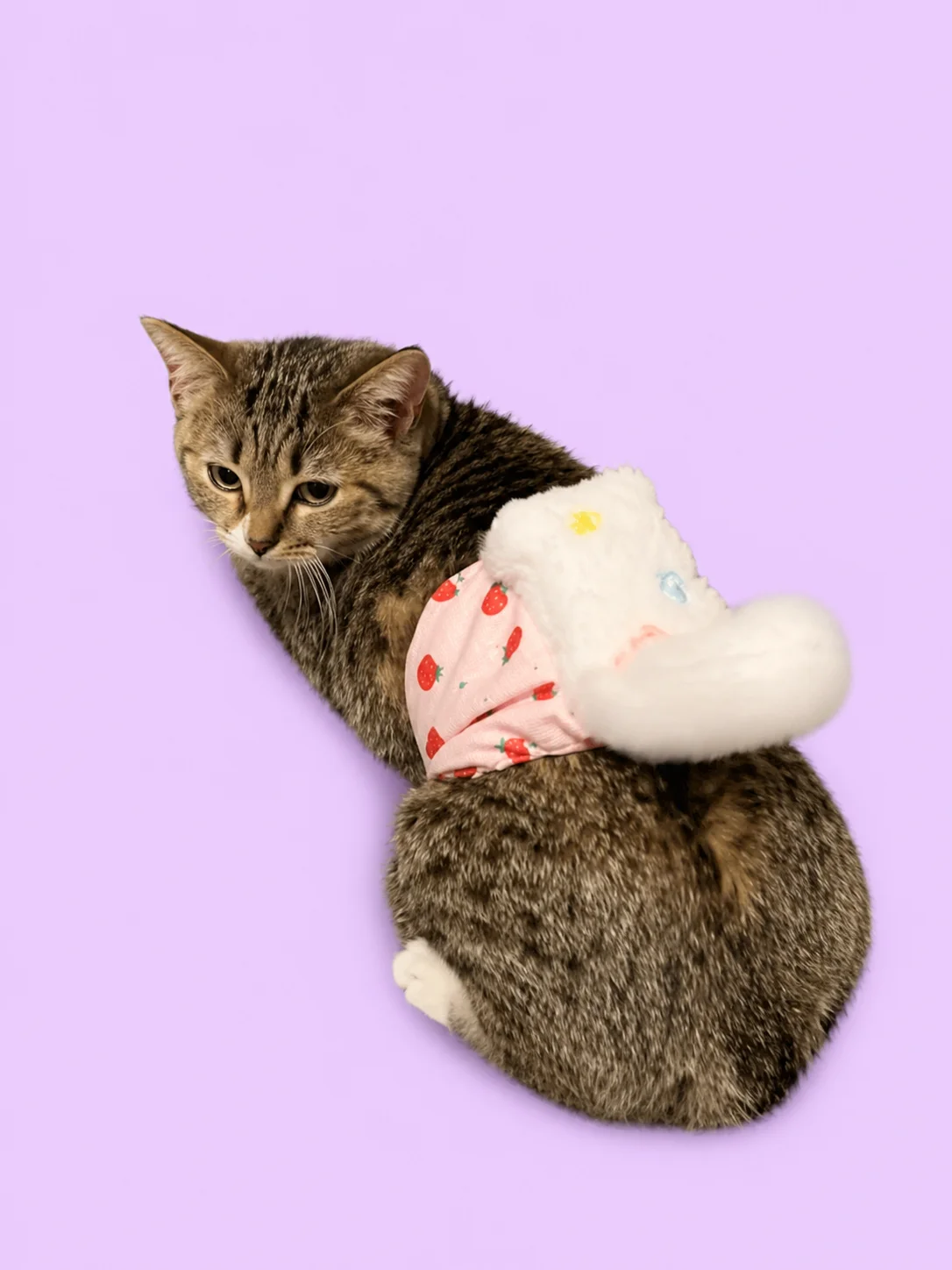 Cat Butt Patting Device product image (2)