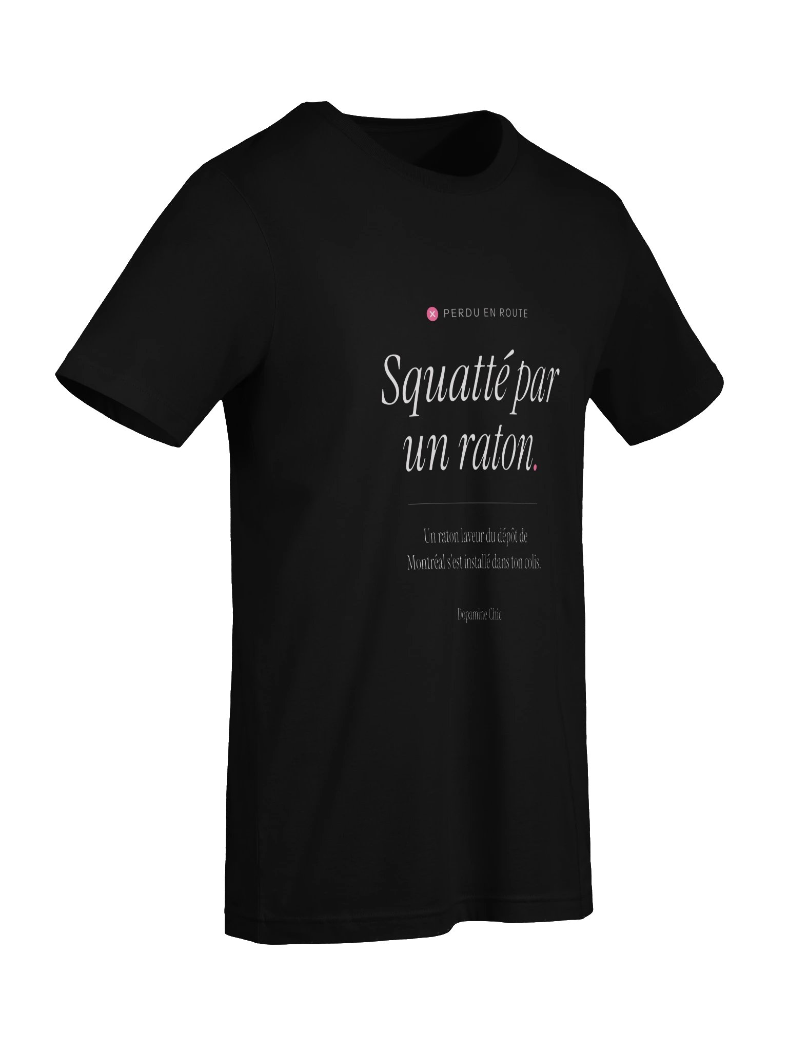 Squatté par un raton product image (7)