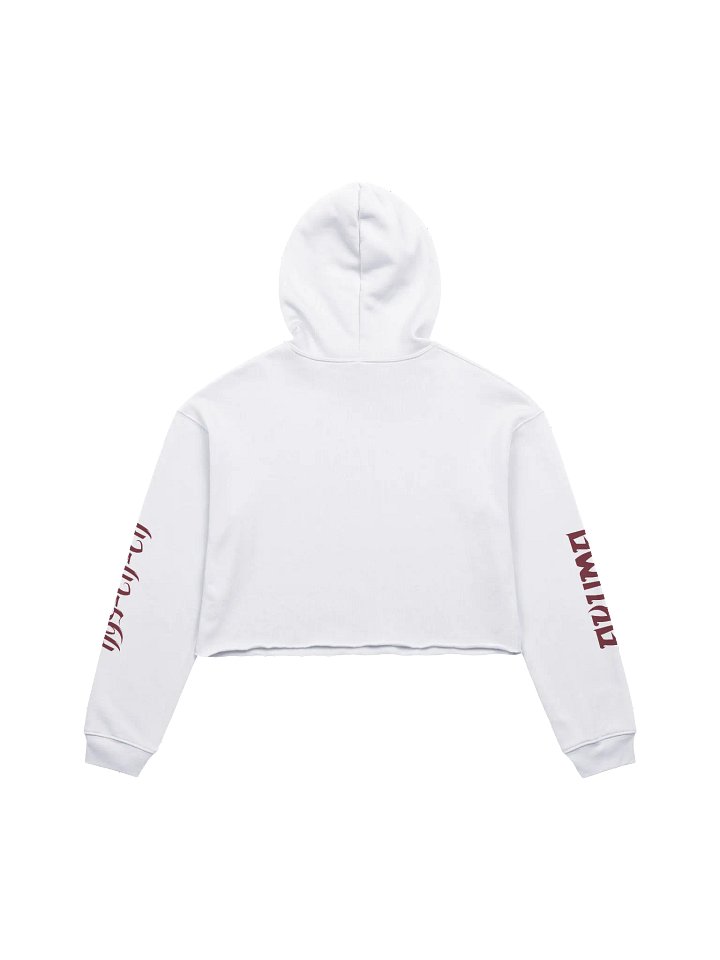 Fuzakenna Crop Hoodie product image (2)