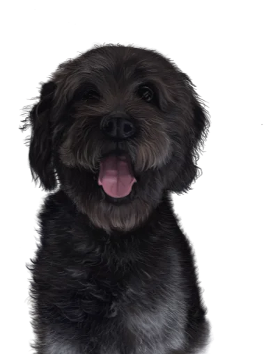 Dog walker cup! product image (2)