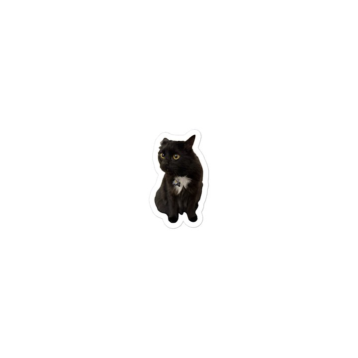 Some Guy's Kat product image (1)