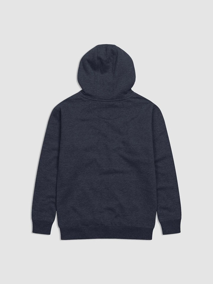 Lift The Future Hoodie product image (4)